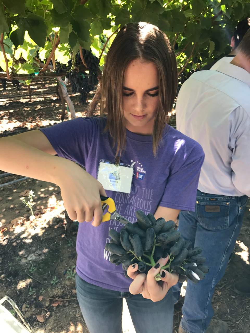 Farm Credit Helps California Adults, Students Learn More About