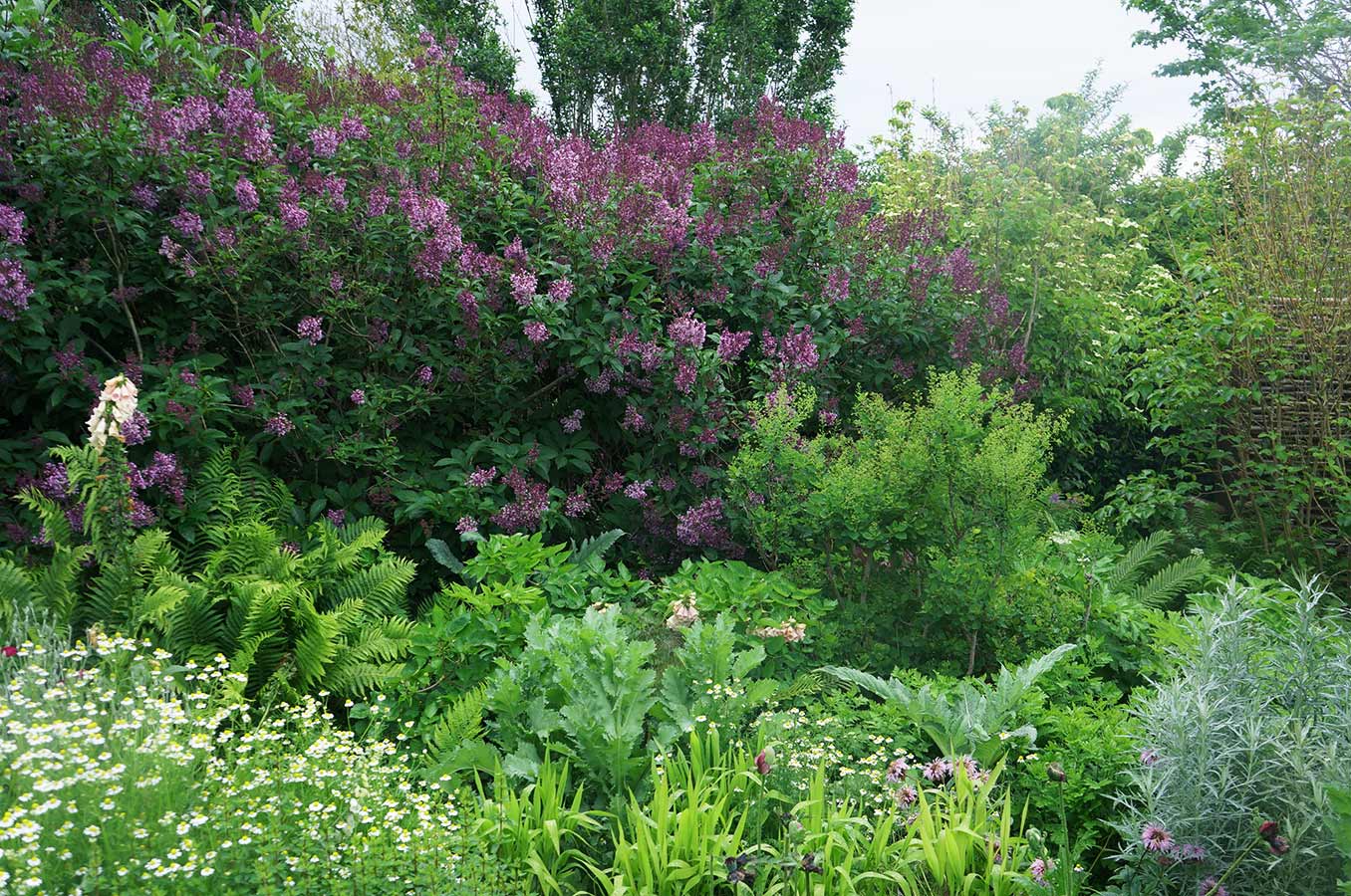 Sagaponack Farm Landscape Design