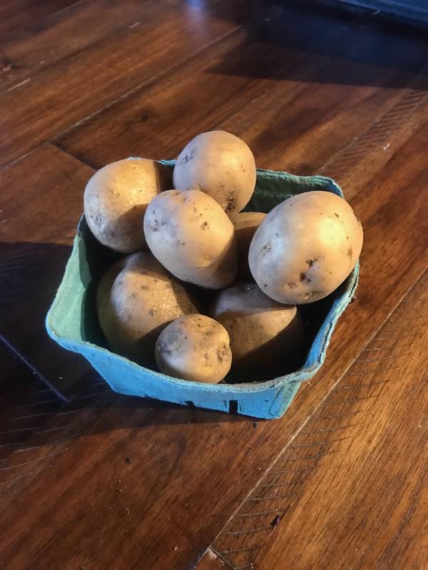 German Butterball 5 Bag OG FarmDrop