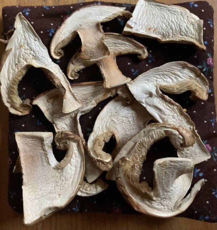 Dried Wild Harvested Matsutake, 1 oz., foraged in Maine FarmDrop