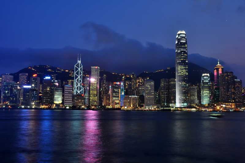 Why Are My Female Zucchini Flowers Not Opening? (3 Reasons) Farmer Grows