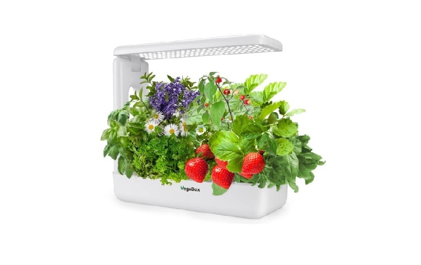 VegeBox vs AeroGarden Which One Is Better? Farmer Grows