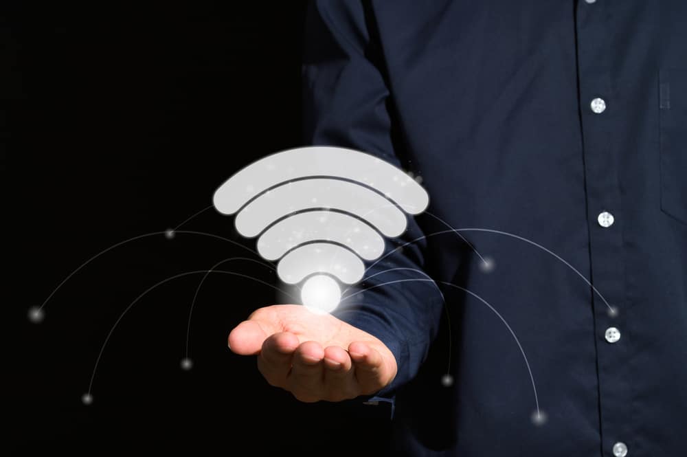 Moistenland Hydroponics Growing System Review Farmer Grows