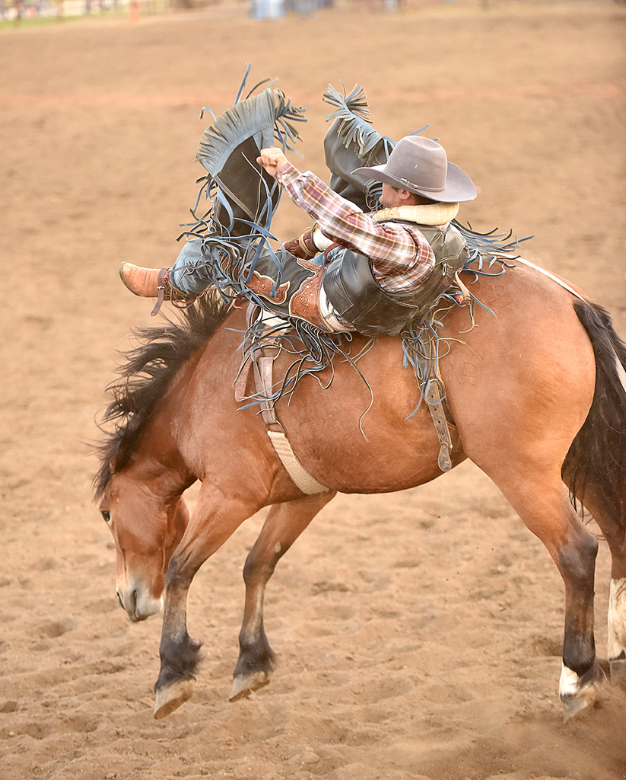23rd Annual Tarkio Rodeo, Rodeo Parade and more…