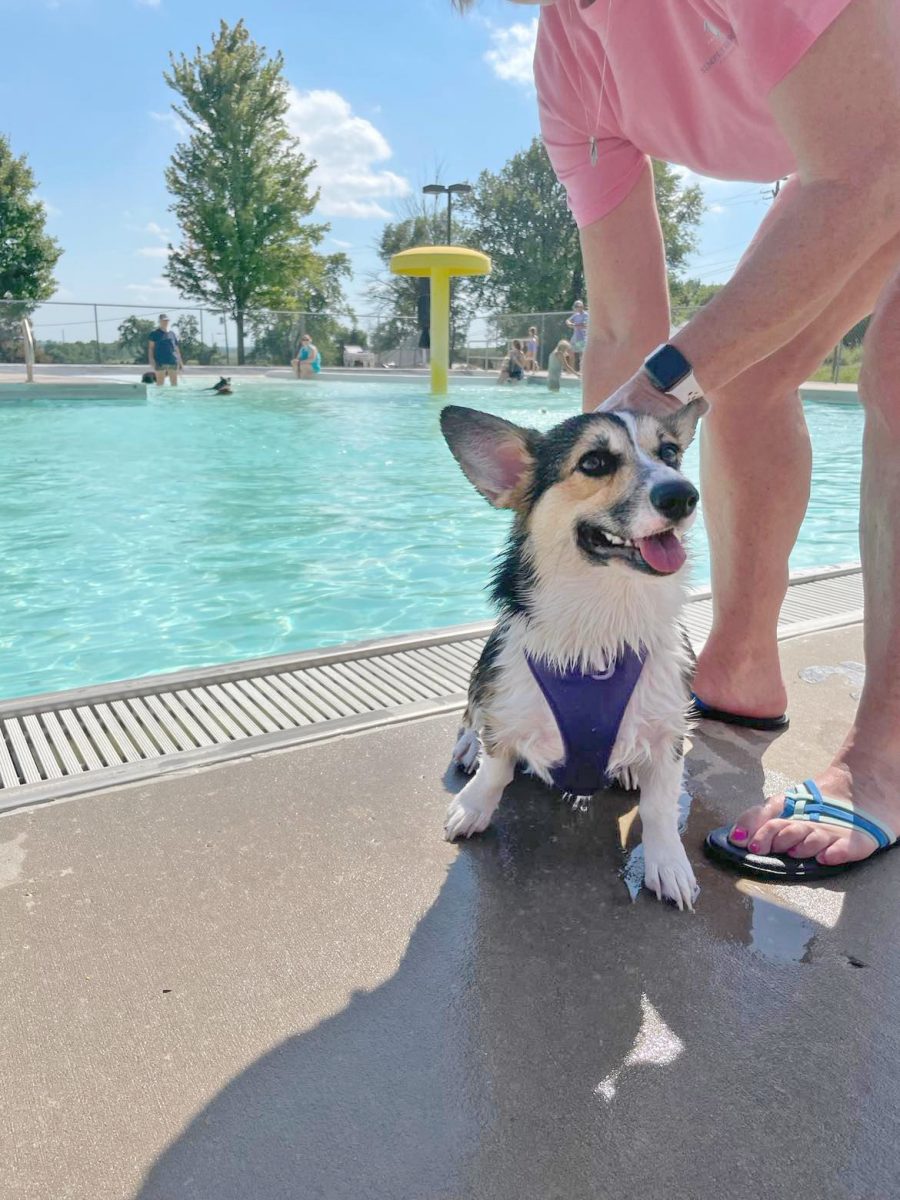 Dog Days of Summer at Tarkio Municipal Pool