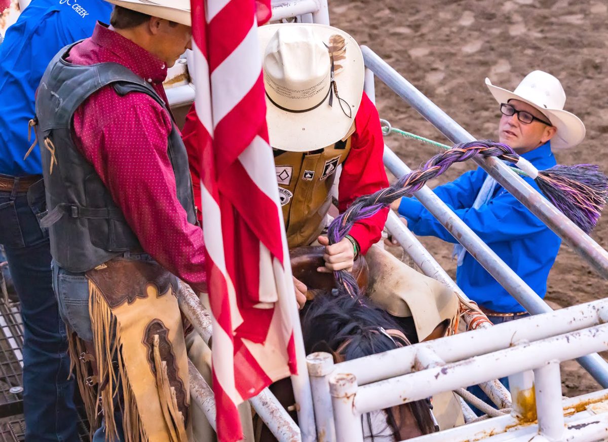 29th annual Tarkio Rodeo