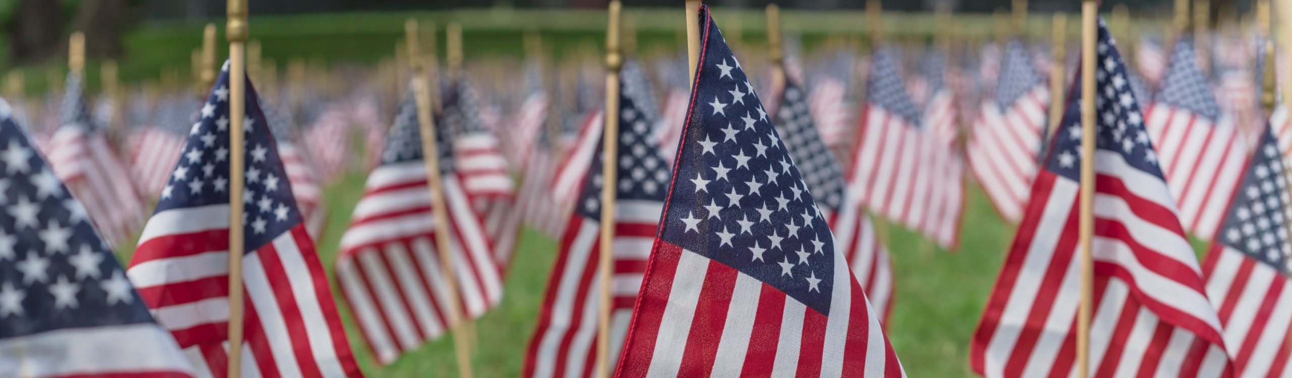 Panoramic row of lawn American flags display on green grass on Memorial