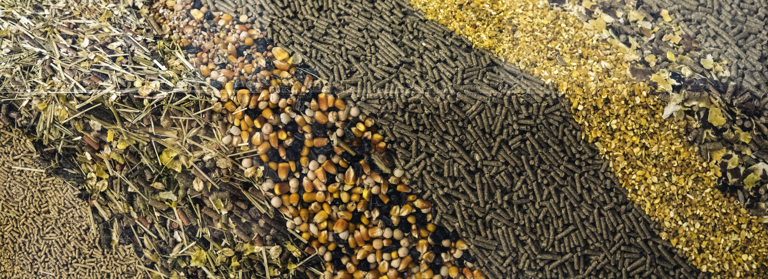 Grand Opening! Farmers Fresh Feed Store May 21st, 2021 Farmers