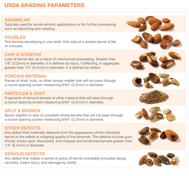 Determining the Best Quality Almonds. Farmers International