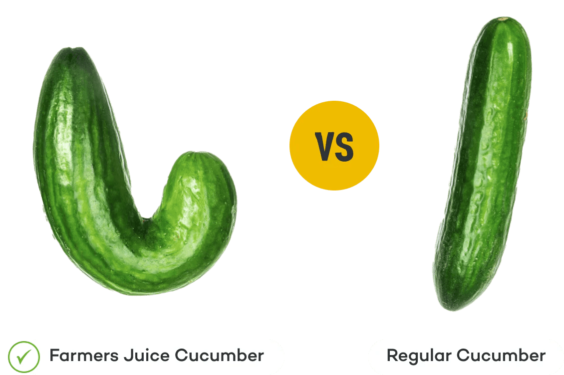 Farmers Juice Organic ColdPressed Juice Delivered To You