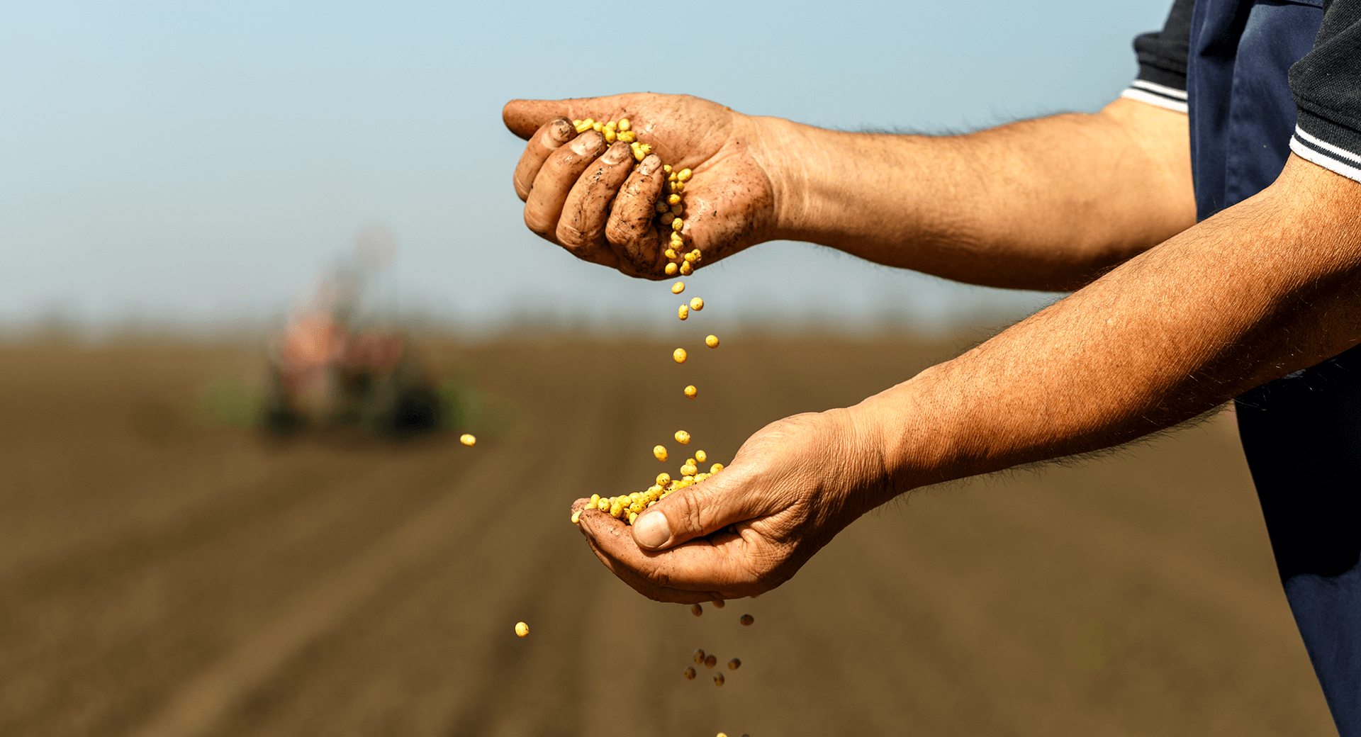 Grain Marketing 101, Grain Merchandising 101, Grain Marketer