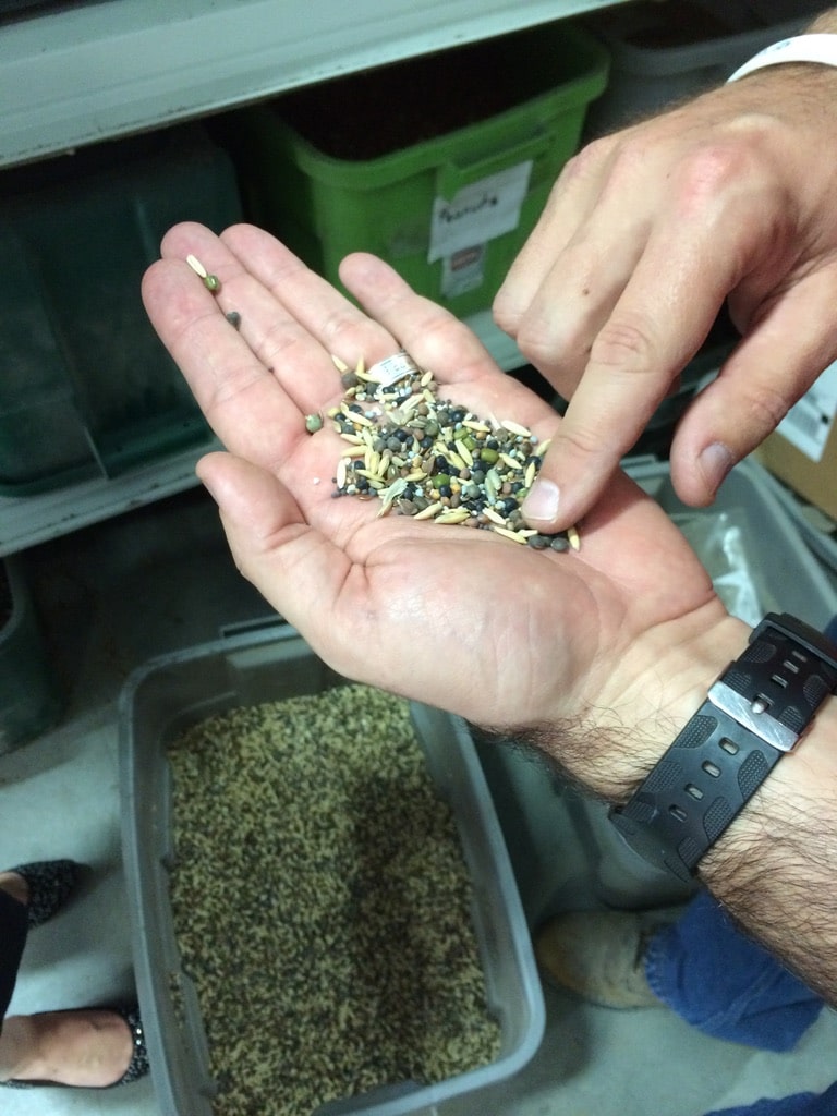 Gallery Farmer’s Keeper Your Personal Grain Merchandiser