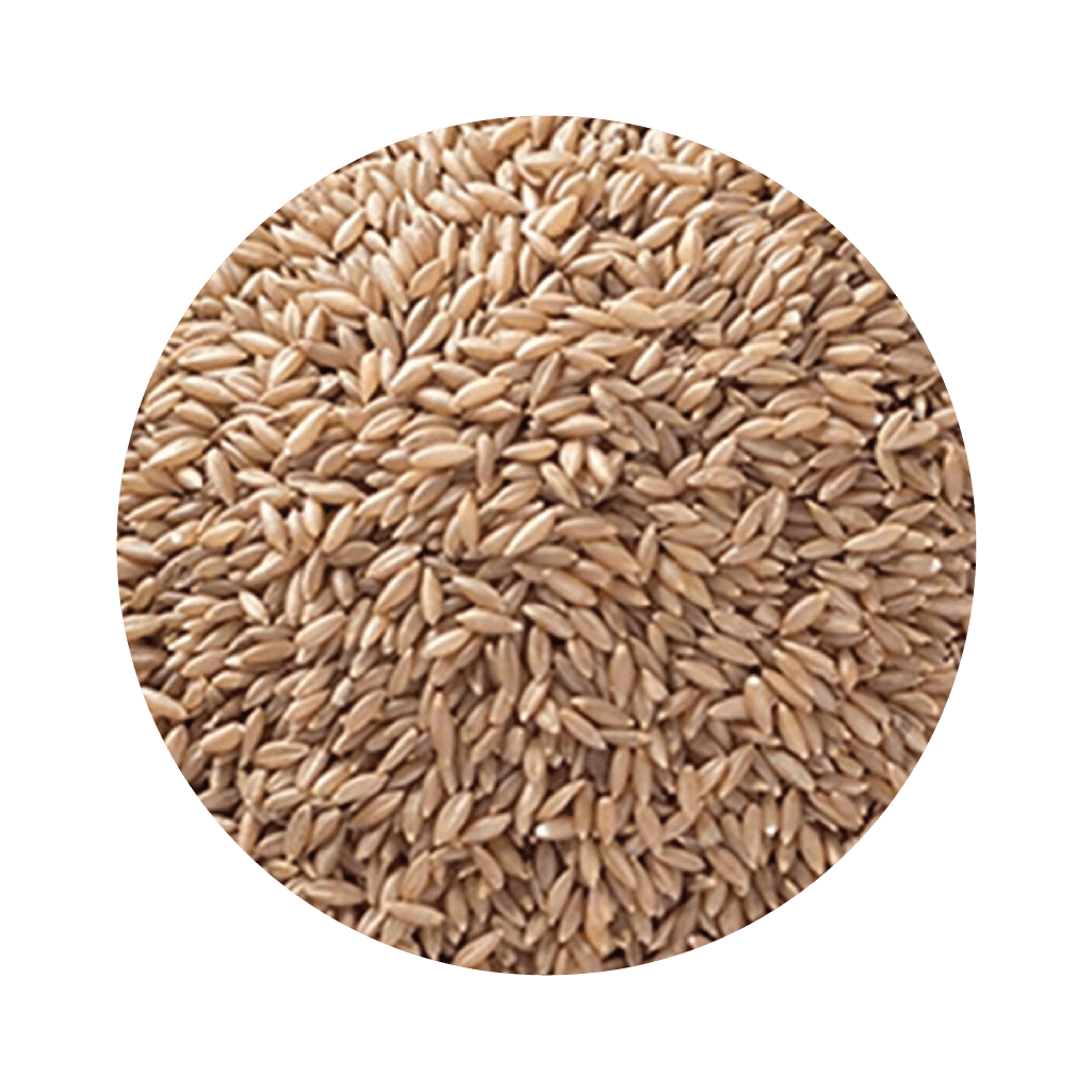 Rice Farmeurs Trading