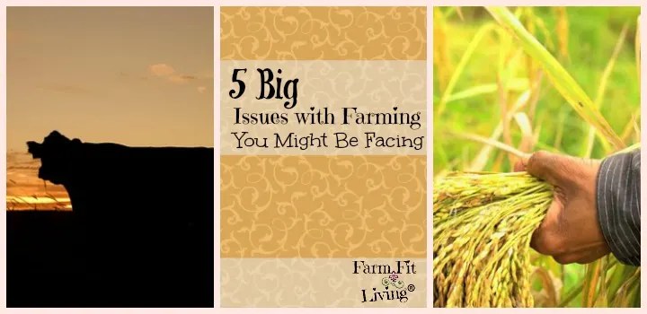 big issues with farming