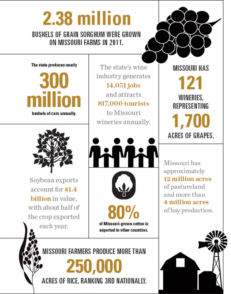 An Overview of Missouri Agriculture Farm Flavor