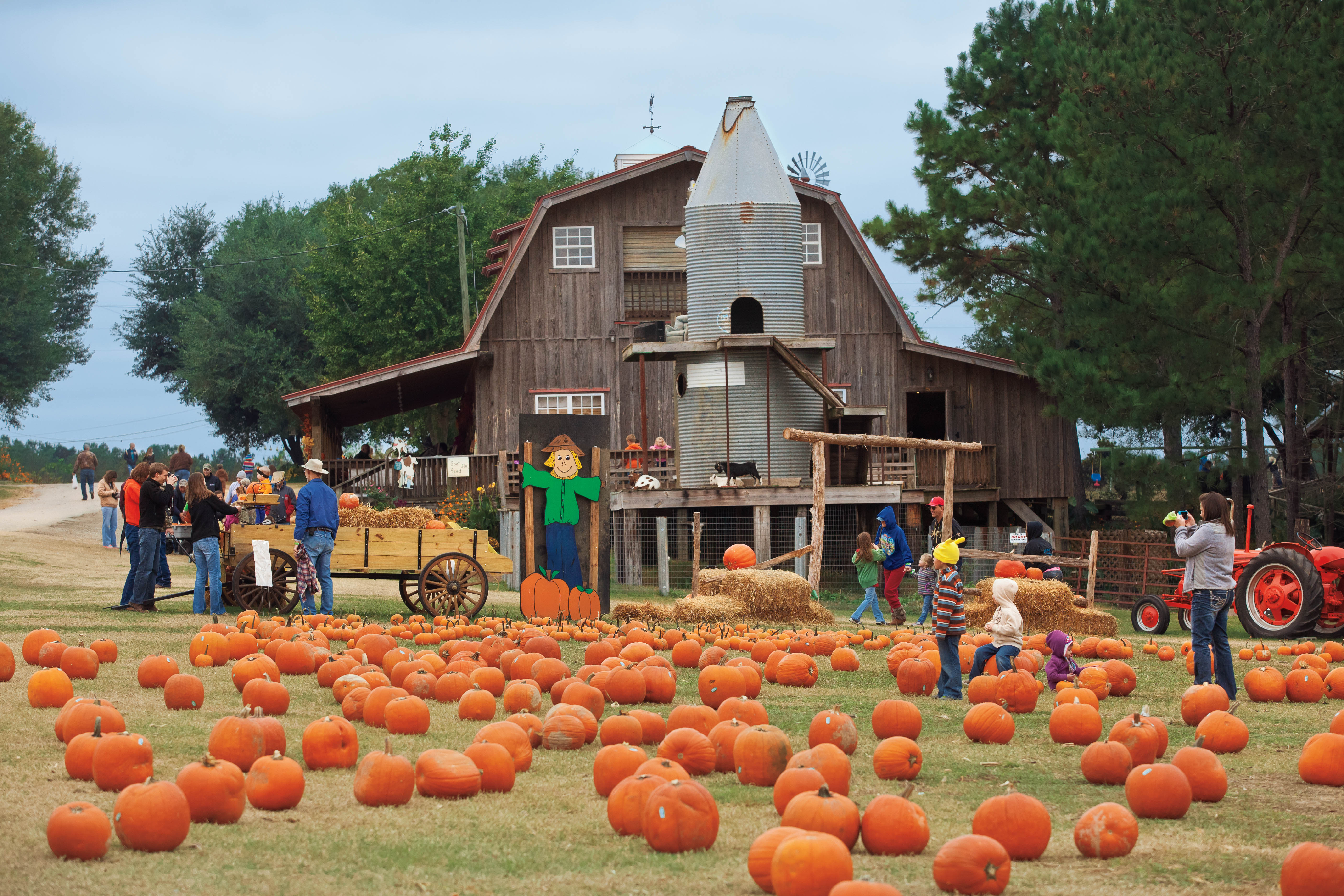 What is Agritourism? Farm Flavor