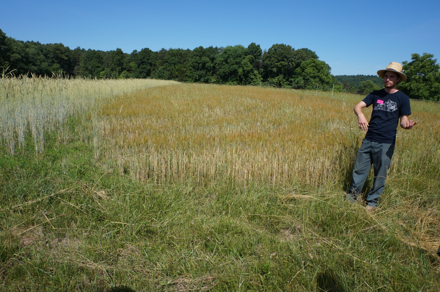 Farm Hack Kentucky Small Scale Grain Production Farm Hack