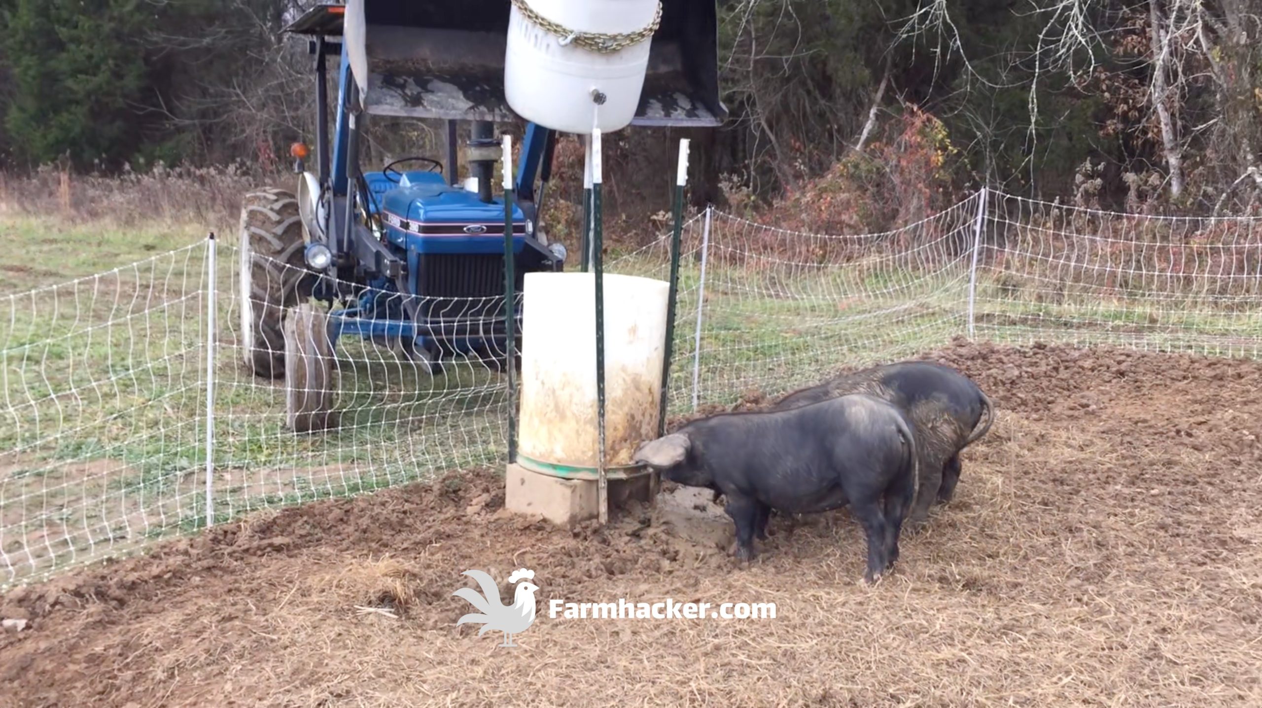 How to Make an Automatic Pig Waterer Drinker Cheap & Easy