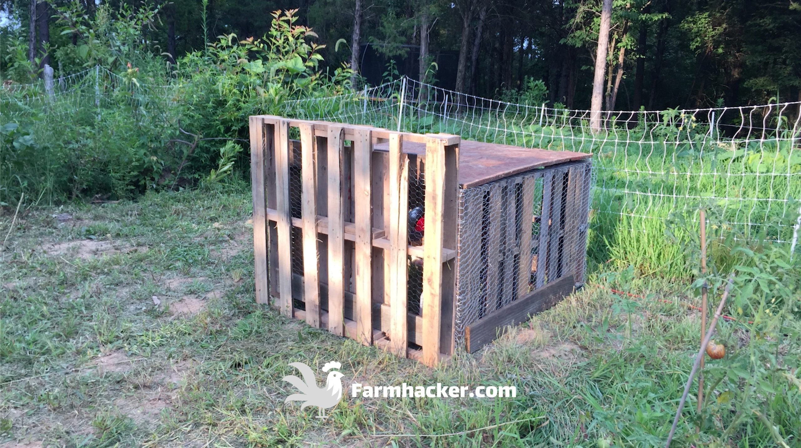 How to Build a Chicken Brooder out of Almost Anything