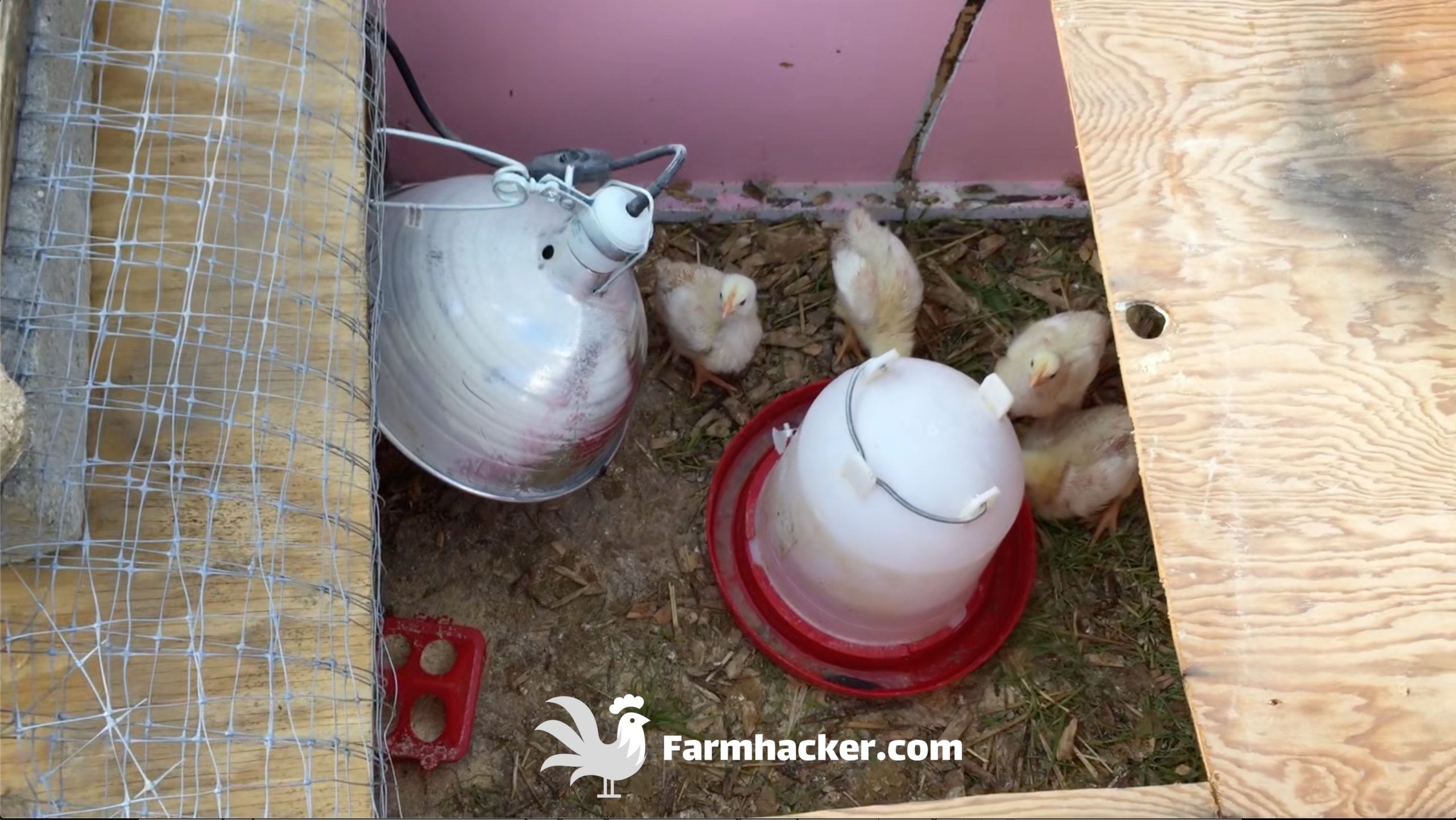How to Build a Chicken Brooder out of Almost Anything