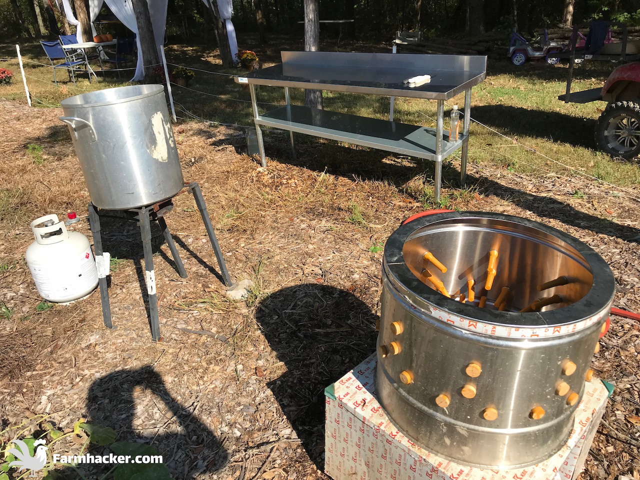 4 BEST Chicken Pluckers in 2023