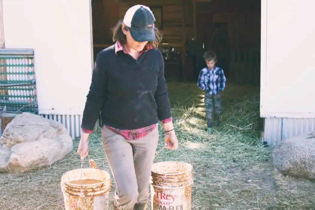 The Crowded Acre Where Dreams Come to Life FarmHer