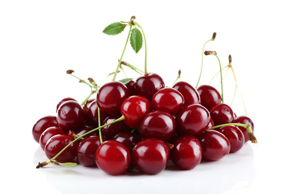 Cherry Farm House Export (Pvt.) Limited