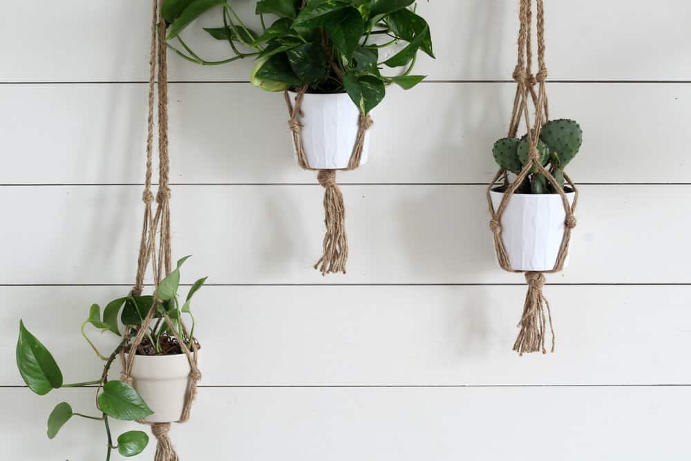 Simple DIY Macrame Plant Hanger with Video Tutorial