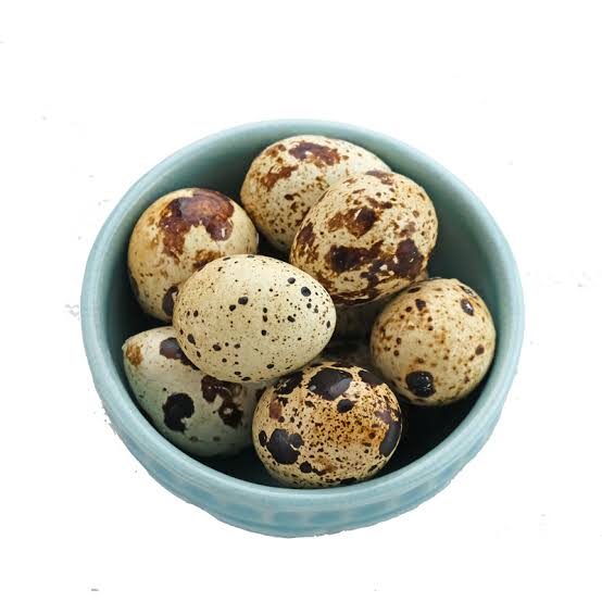 Quail Eggs Nutrition, Benefits, and Precautions FARMING ADVICE DIGEST