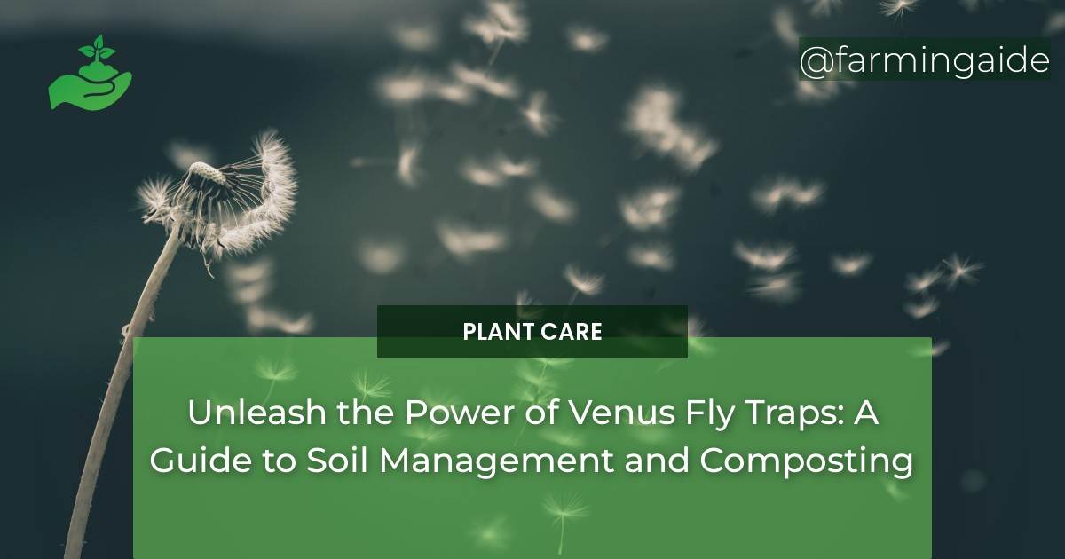 Unleash the Power of Venus Fly Traps A Guide to Soil Management and