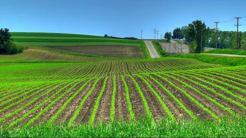 12 Farming Types And All You Need to Know About Them! Farming Base