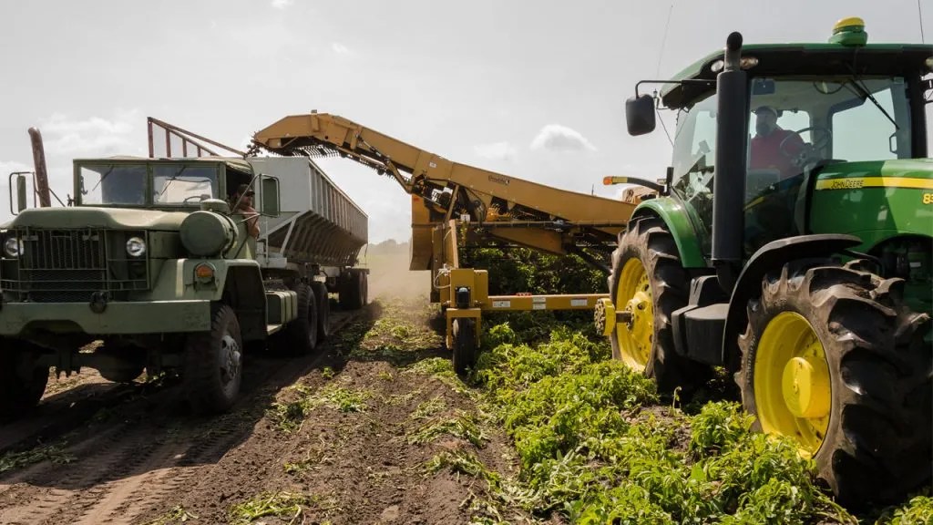 How Many Bushels of Corn Fit in a Semitrailer Farming Base