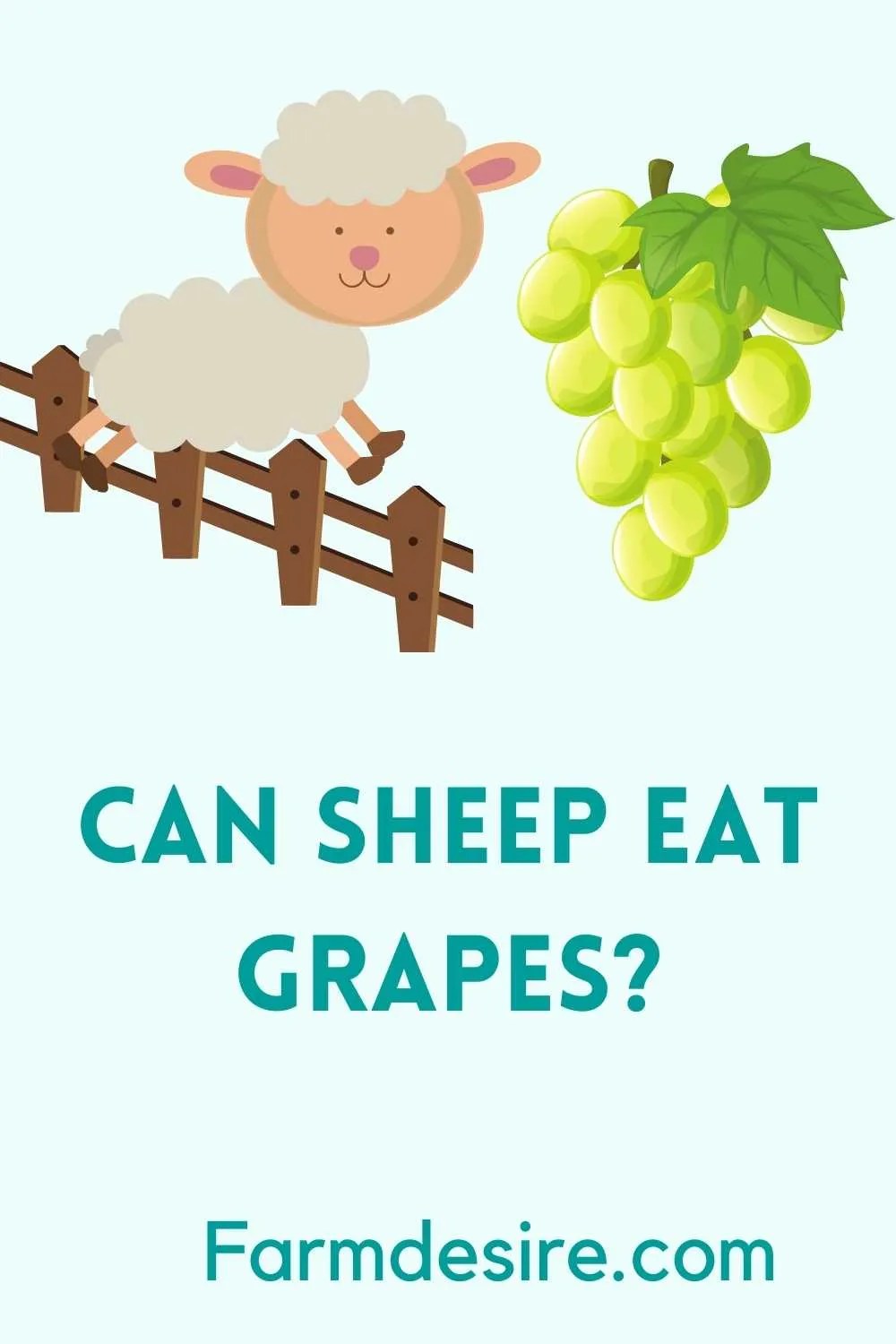 Can Sheep Eat Grapes? 3 Ways to Feed Farming Base
