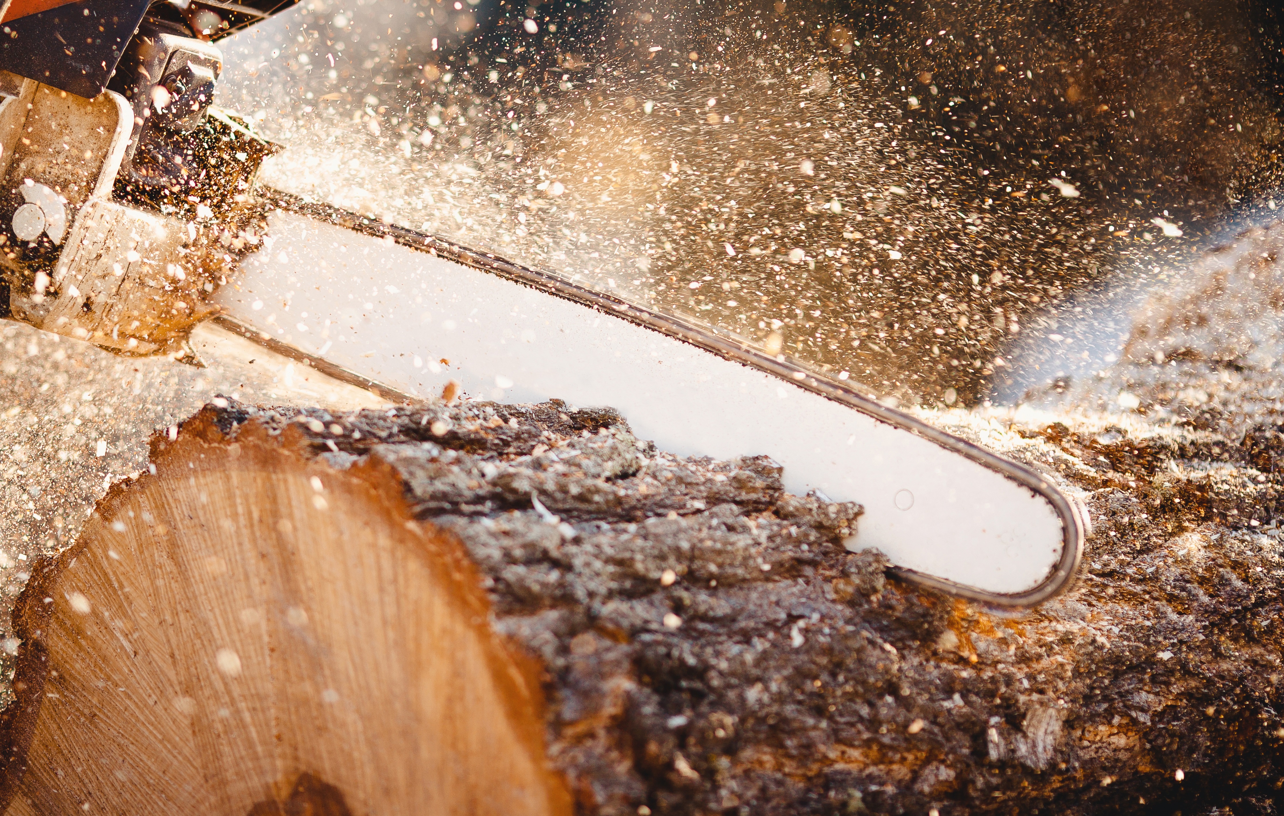 Best Electric Chainsaws For Home Use: 2021 Buyer’s Guide