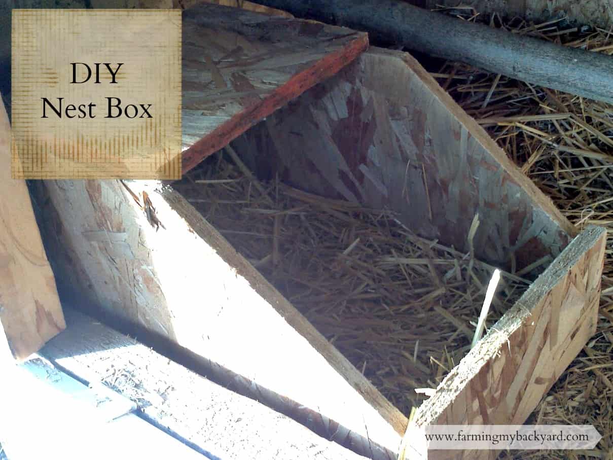 DIY Nest Box for Rabbits or Chickens Farming My Backyard