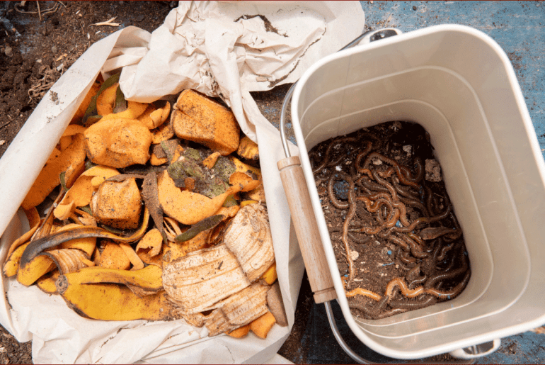 7 Best Worm Composter Bins [2023 Top Picks]