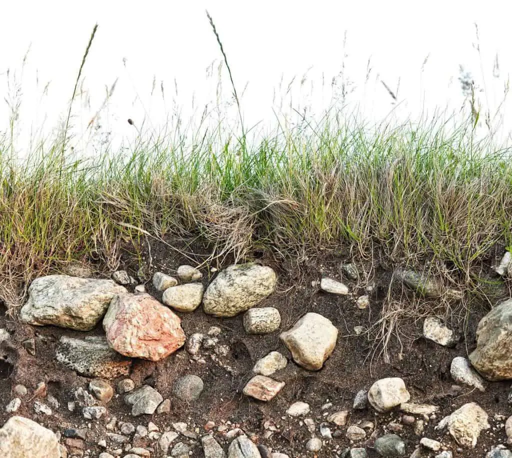 Is Rocky Soil Good for Farming and Growing Crops Plants?