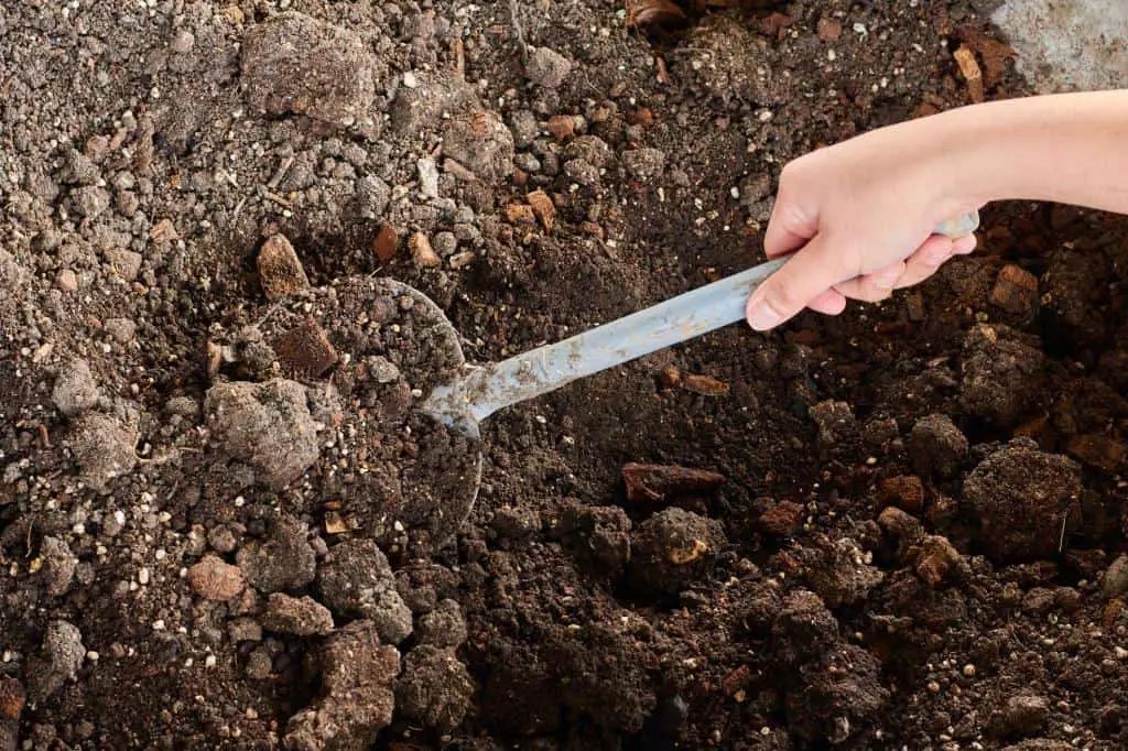 How to Till and Work with Rocky Soil for Growing Plant