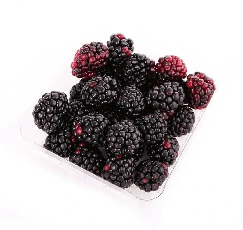 Can You Plant Blackberries From the Store A Beginner’s Guide
