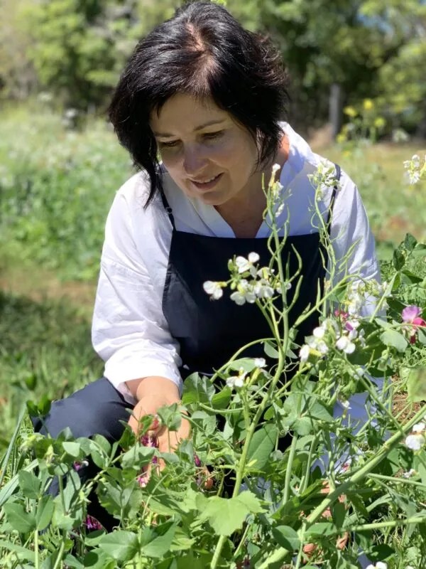 Cover crop research project looks promising for coffee growers Farming Together