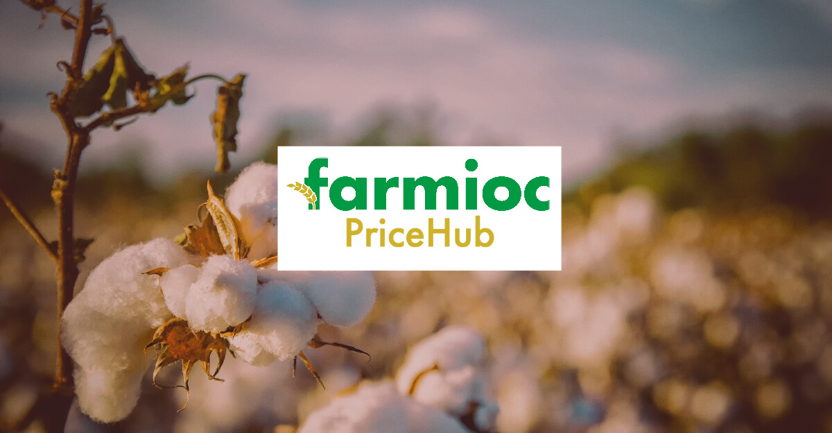 Cotton Prices in India Farmioc PriceHub