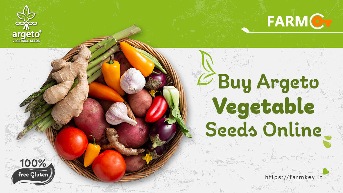 Buy Argeto Vegetable Seeds Online From Farmkey
