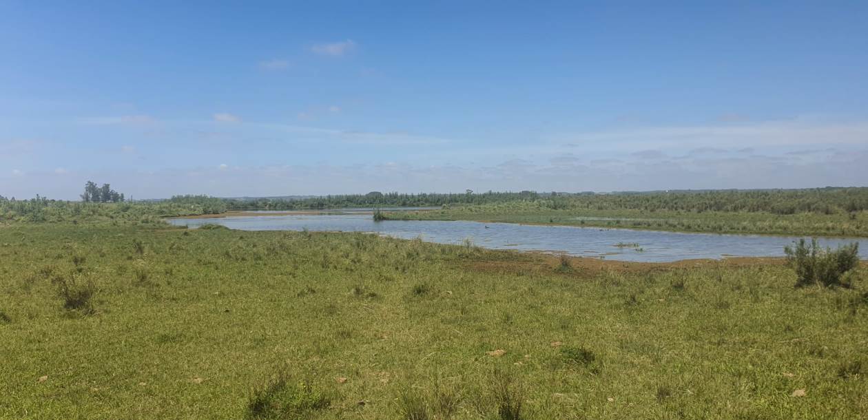 1200 h Canelones Farmland Uruguay