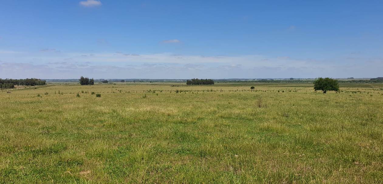 1200 h Canelones Farmland Uruguay