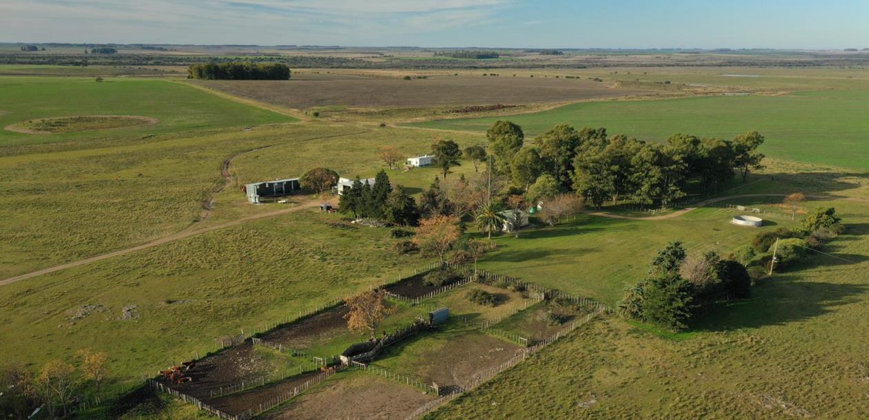 1900 h Rio Negro Farmland Uruguay