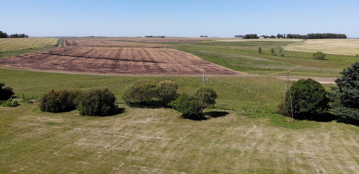 1900 h Rio Negro Farmland Uruguay