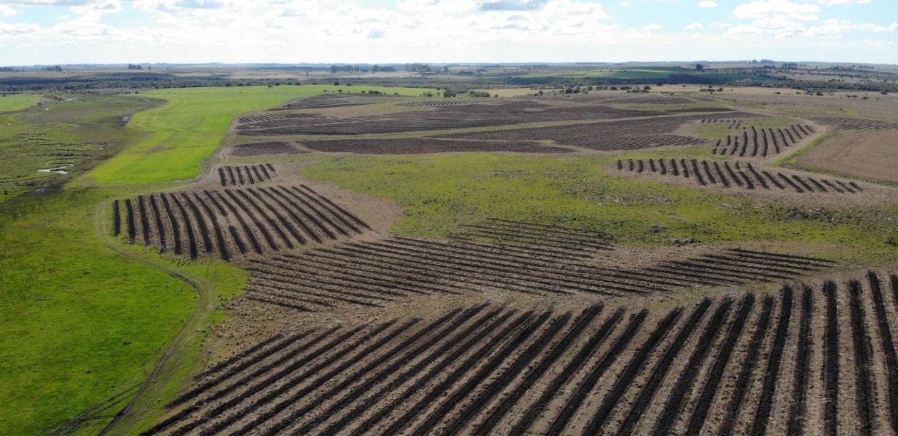 1900 h Rio Negro Farmland Uruguay