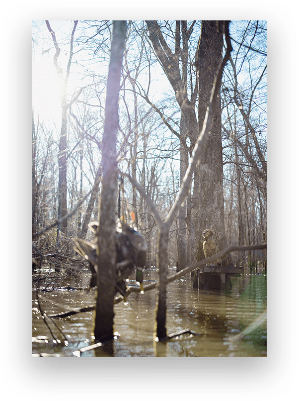 The Farmland Group LLC