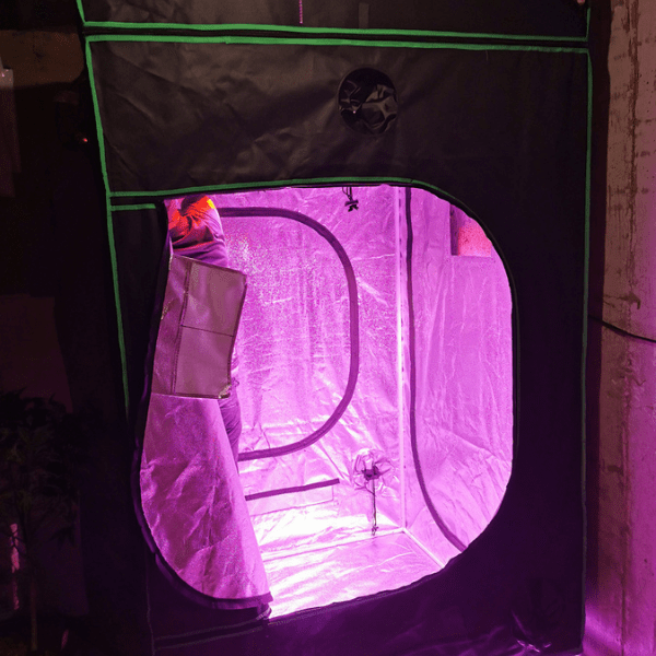 How To Increase Humidity In Grow Tent Farm Plastic Supply