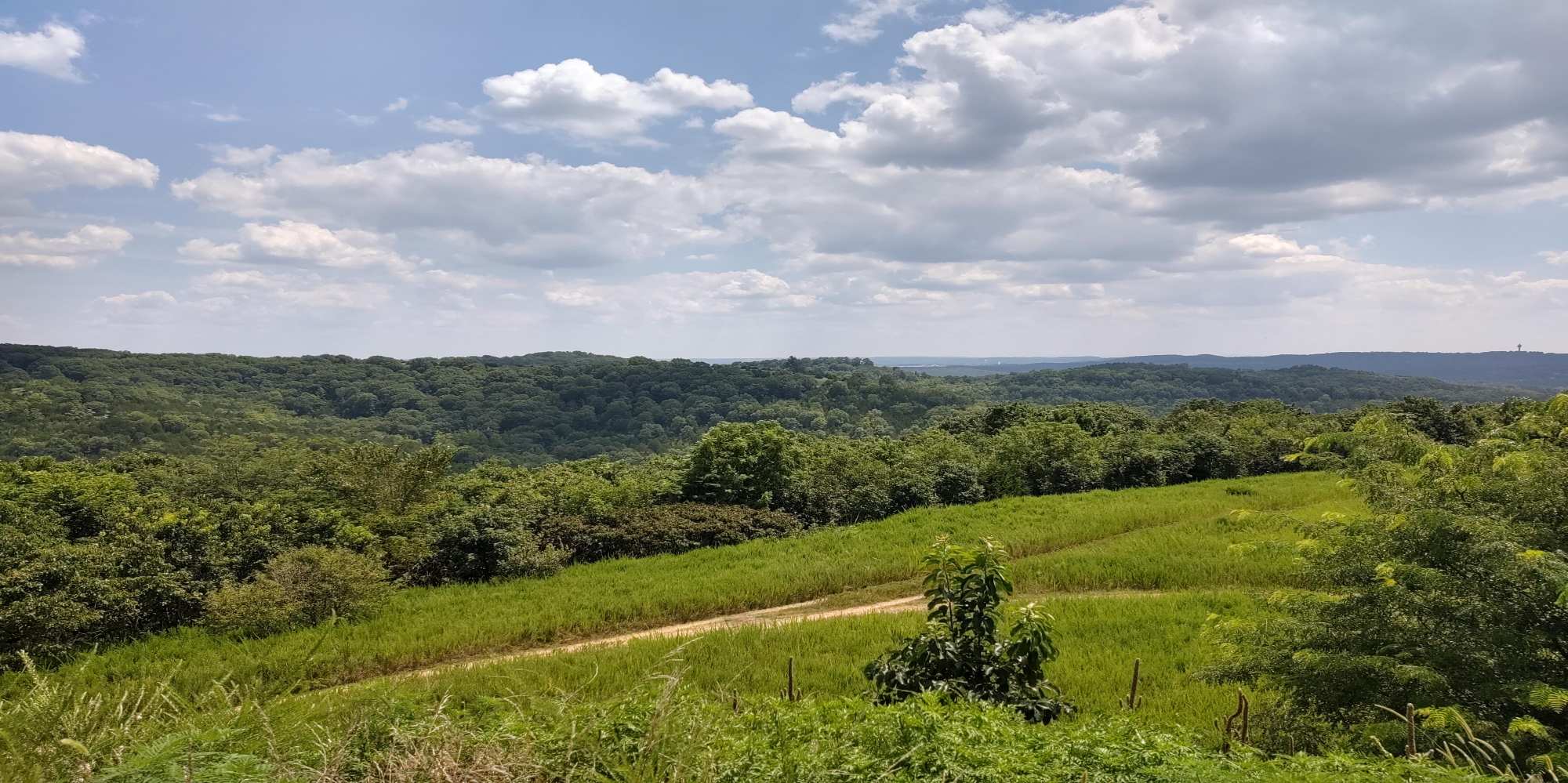 Discover the Area Attractions and Things To Do Near Lufkin